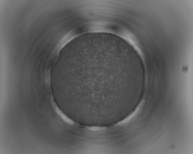 X0000094440897200711081246