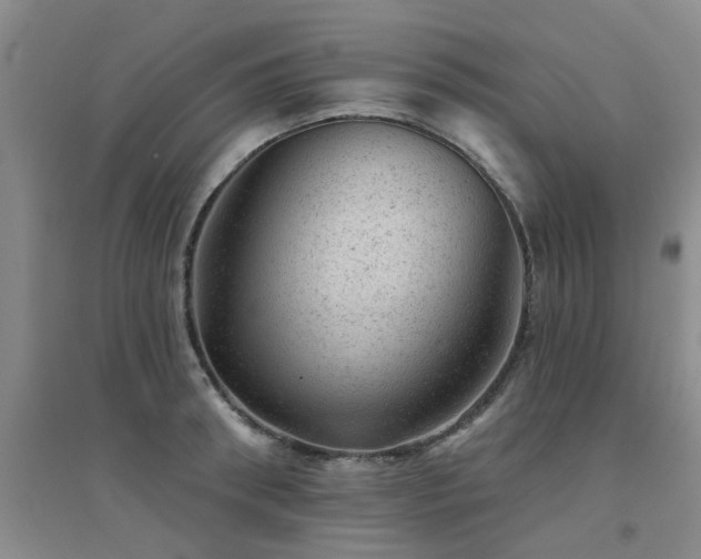 X0000094440898200711081246