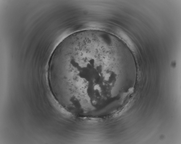 X0000094440899200711081246