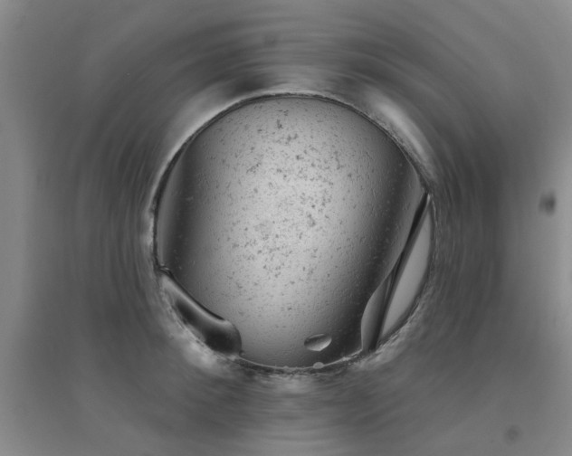 X0000094440900200711081246
