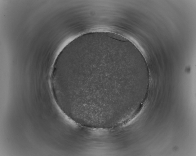 X0000094440901200711081246