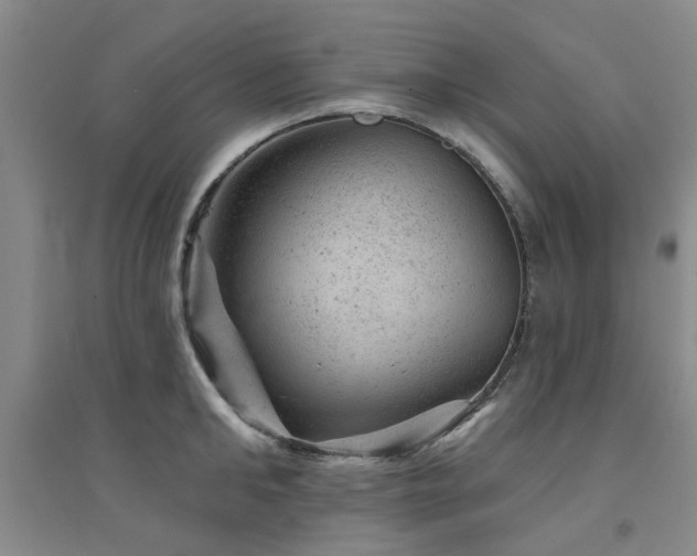 X0000094440902200711081246