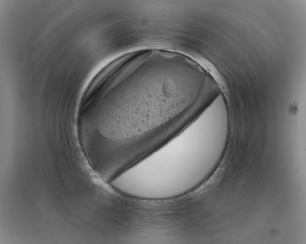 X0000094440904200711081246