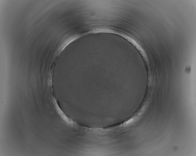 X0000094440905200711081246
