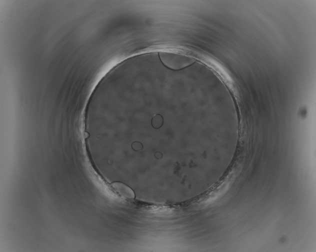 X0000094440907200711081246