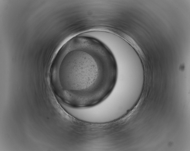 X0000094440908200711081246