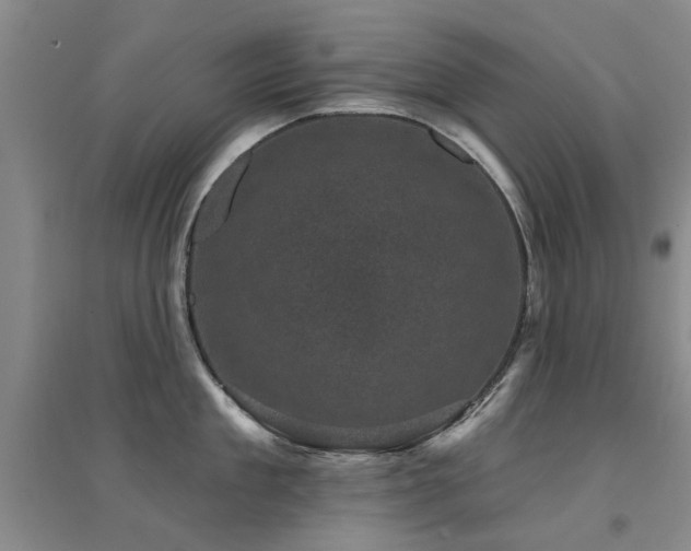 X0000094440909200711081246