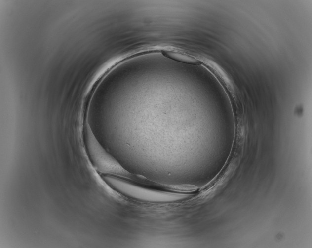 X0000094440910200711081246