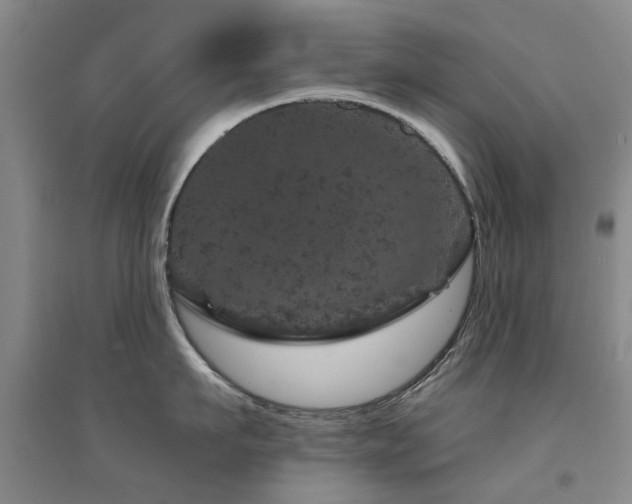 X0000094440911200711081246
