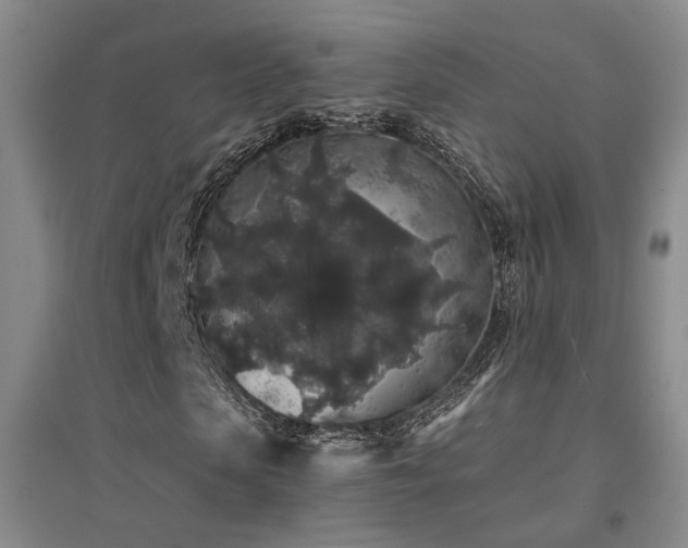 X0000094440913200711081245