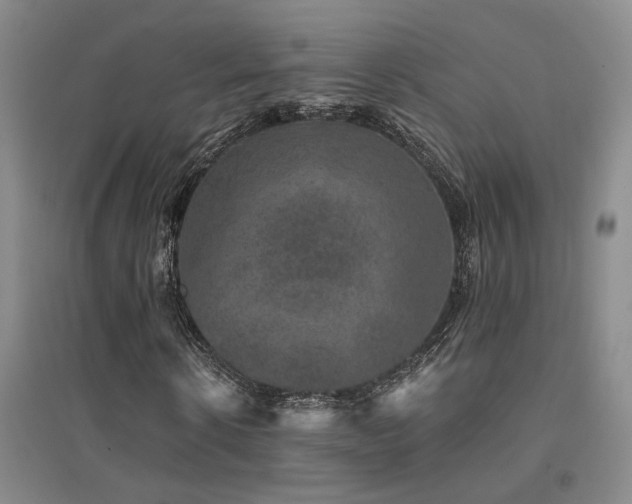 X0000094440914200711081245