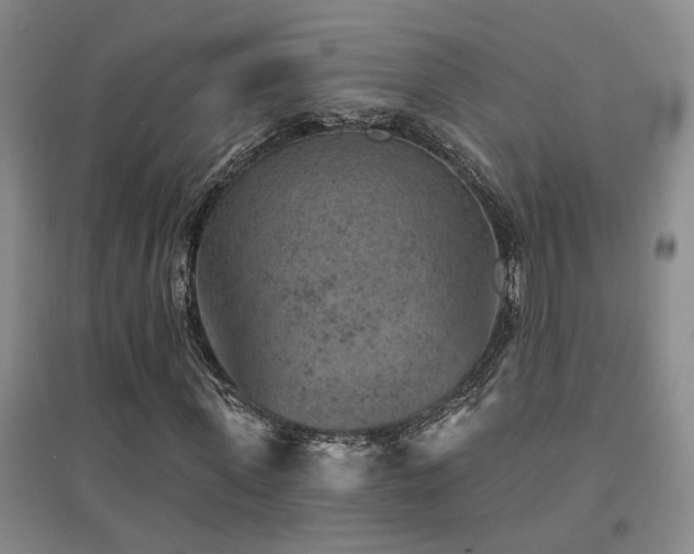 X0000094440915200711081245