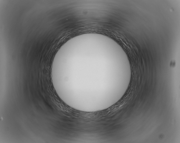 X0000094440916200711081245
