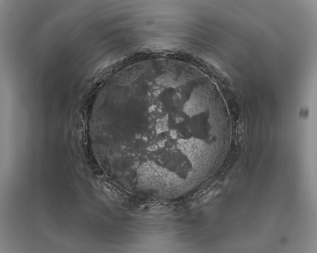 X0000094440917200711081245