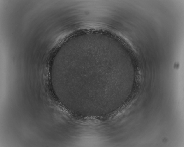 X0000094440918200711081245