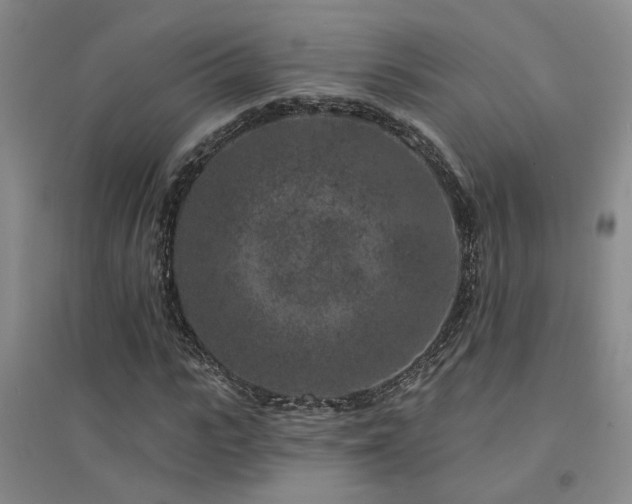 X0000094440919200711081245