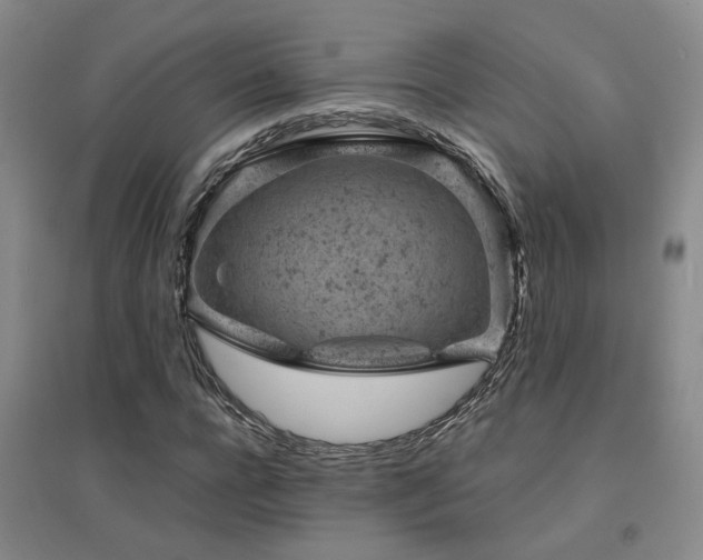 X0000094440920200711081245