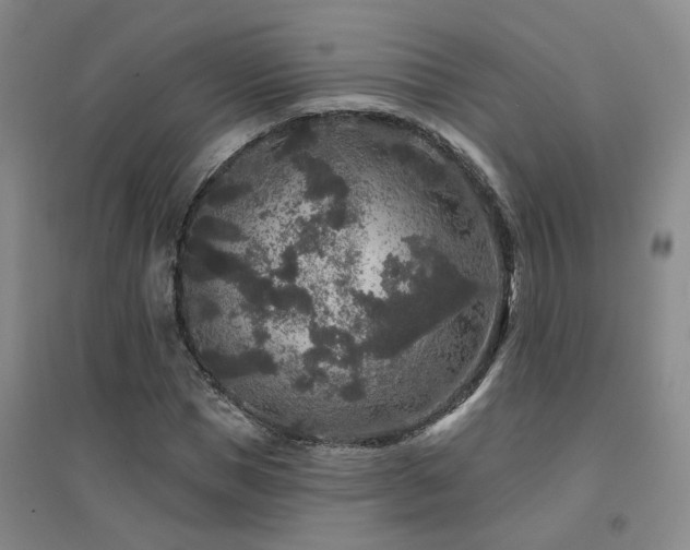 X0000094440921200711081245
