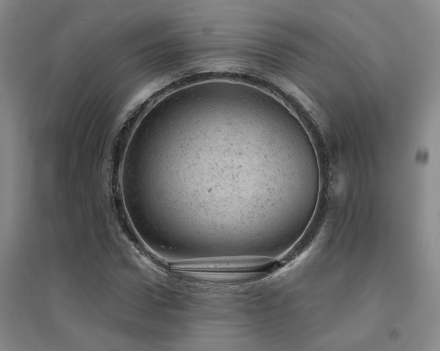 X0000094440922200711081245