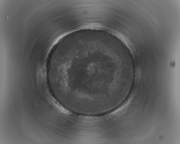 X0000094440923200711081245