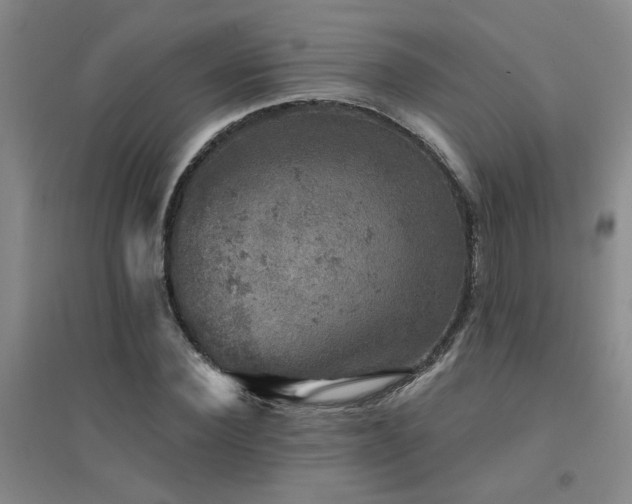 X0000094440924200711081245