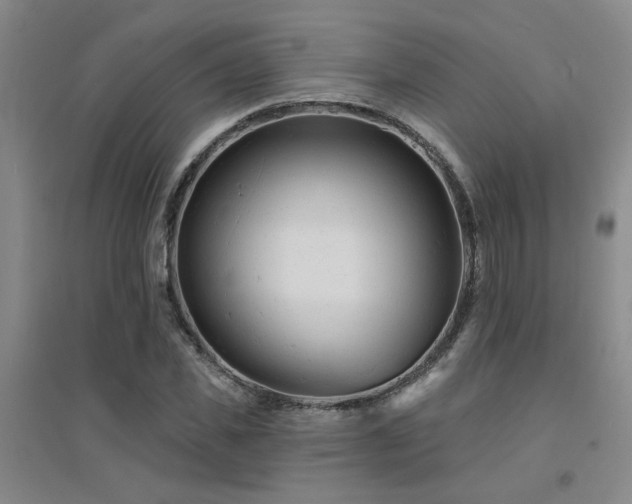 X0000094440925200711081245