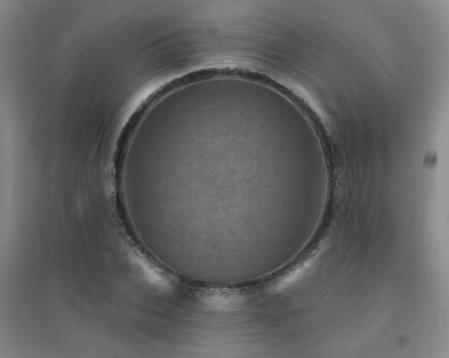 X0000094440927200711081245