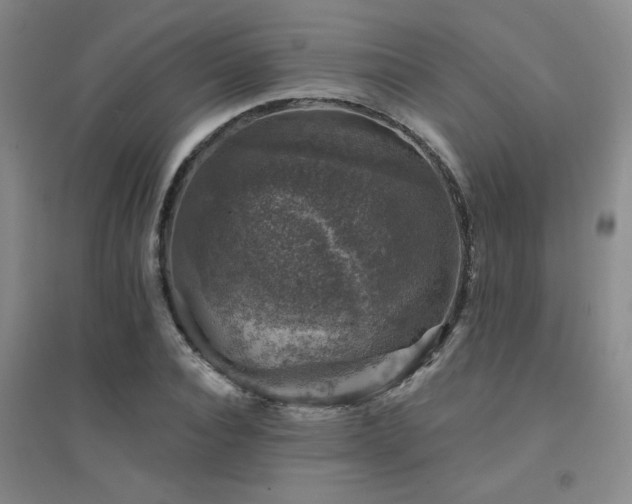 X0000094440928200711081245