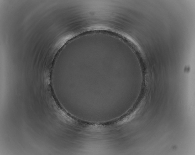 X0000094440929200711081245