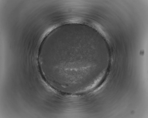 X0000094440930200711081245