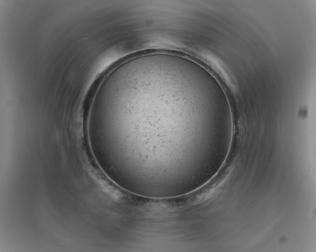 X0000094440931200711081245