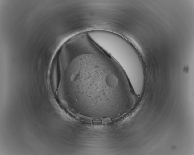 X0000094440932200711081245