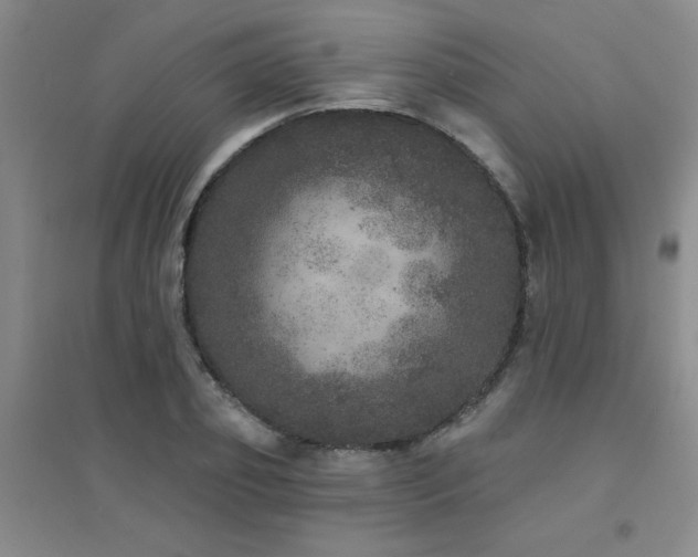 X0000094440933200711081245