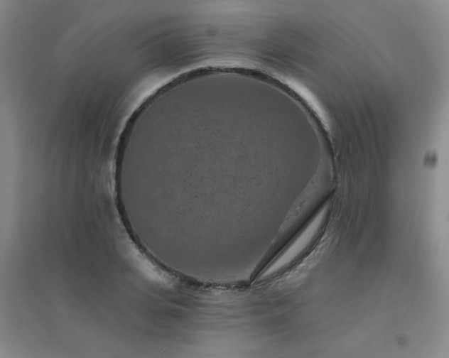 X0000094440935200711081245