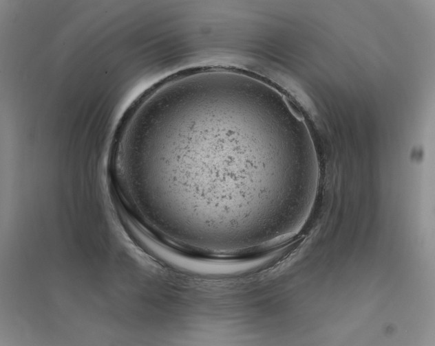 X0000094440936200711081245