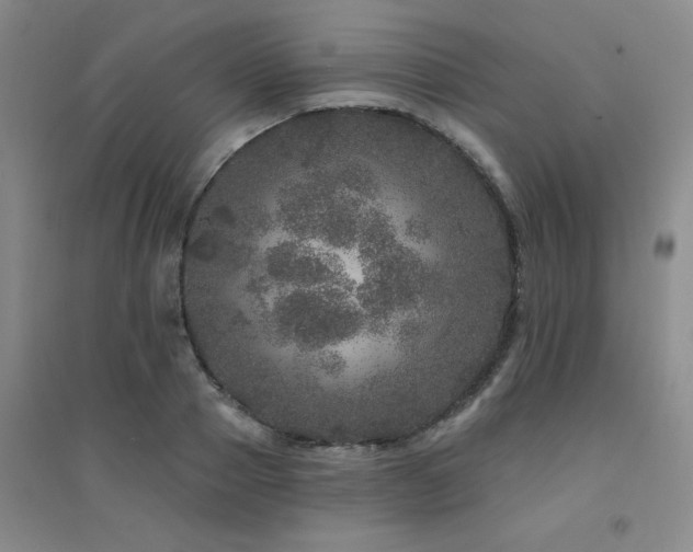 X0000094440937200711081245
