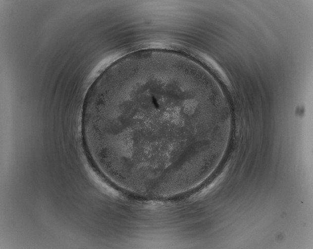 X0000094440938200711081245