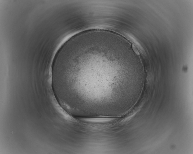 X0000094440940200711081245
