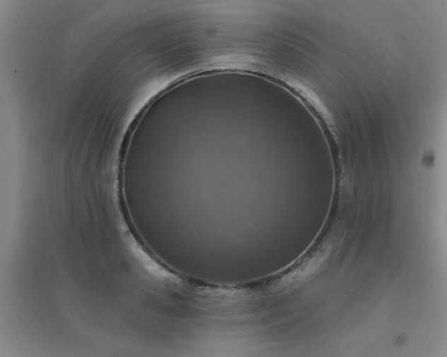 X0000094440941200711081245