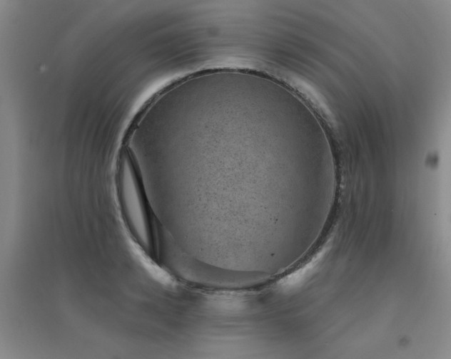 X0000094440942200711081245