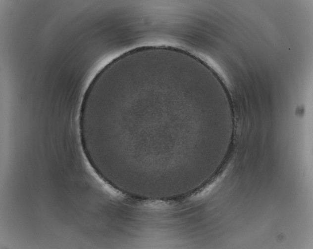X0000094440943200711081245