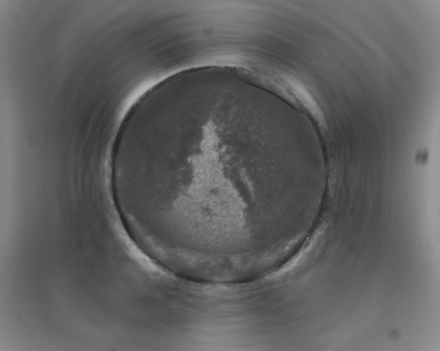 X0000094440944200711081245