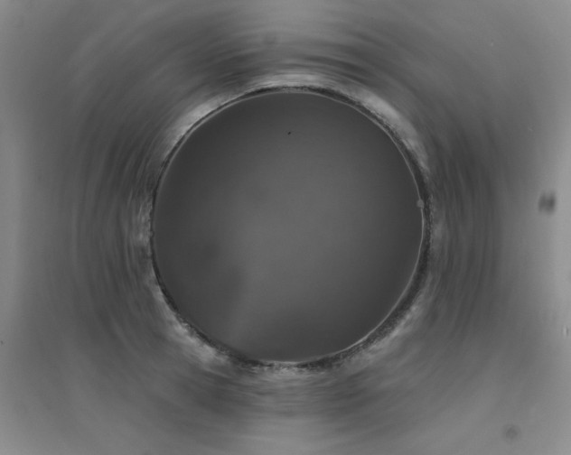 X0000094440945200711081245