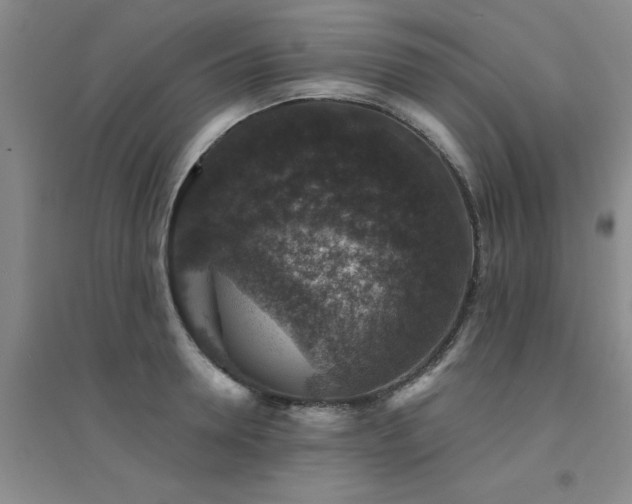 X0000094440946200711081245