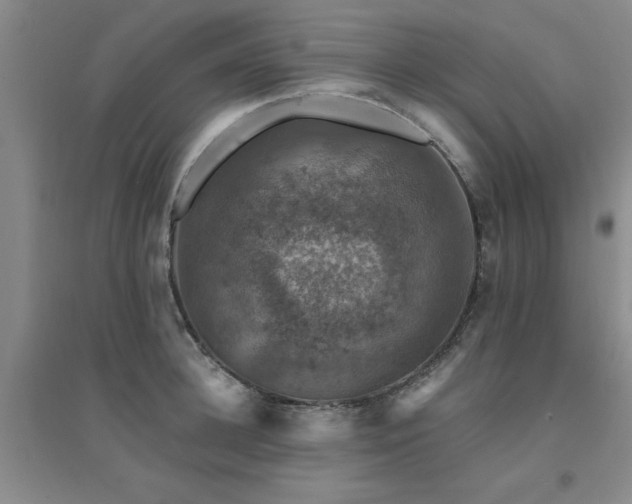 X0000094440948200711081245