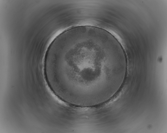 X0000094440949200711081245