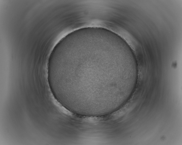 X0000094440950200711081245