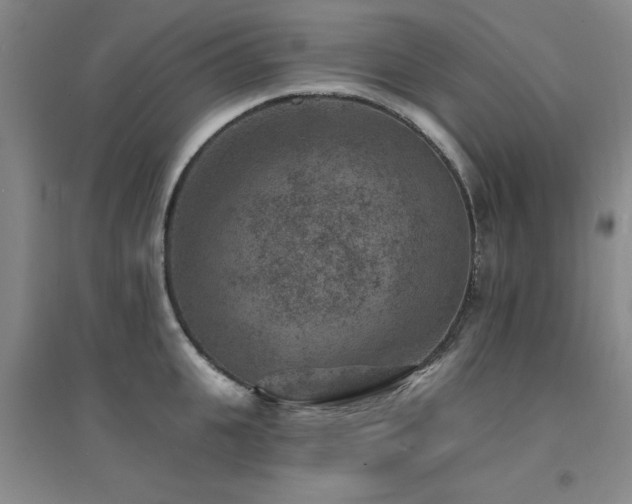 X0000094440951200711081245