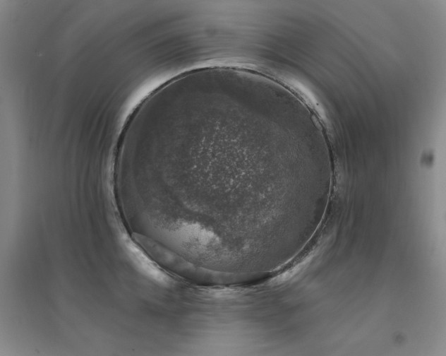 X0000094440952200711081245