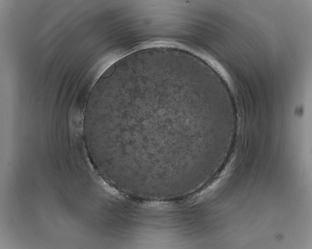 X0000094440953200711081245